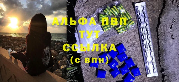 тгк Белокуриха
