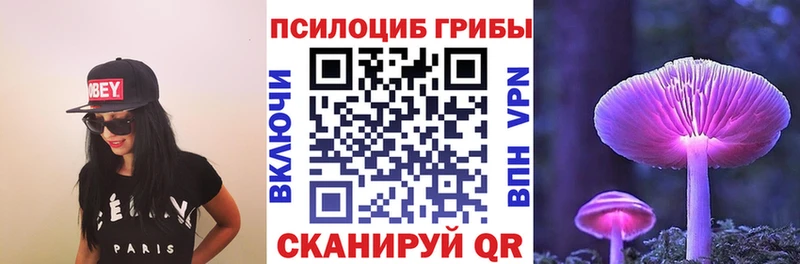 shop наркотические препараты  Кудрово  Псилоцибиновые грибы Psilocybe  закладка 